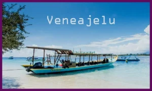 Creative digital concept representing veneajelu as a modern brand identity